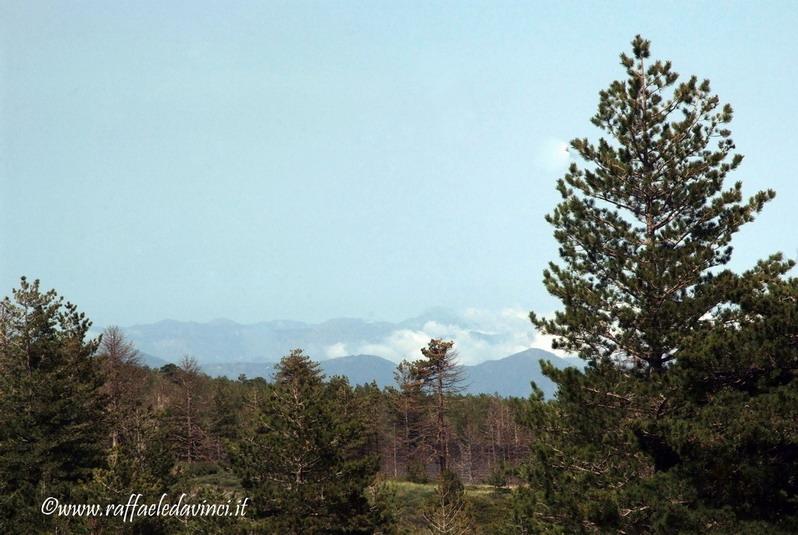 Etna1. 17mag08 (162)_ridimensionare_ridimensionare.jpg